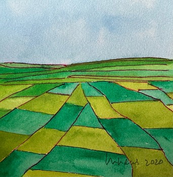 A patchwork of green squares following into the horizon.