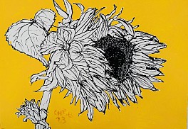 Past Exhibitions: Christian Brechneff - Flower Portraits Mar 23 - Apr 23, 2024