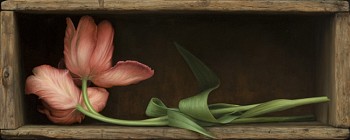 Work: Sean Beavers Resting