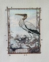 Heidi Holder, Wood Stork
2004, watercolor on paper